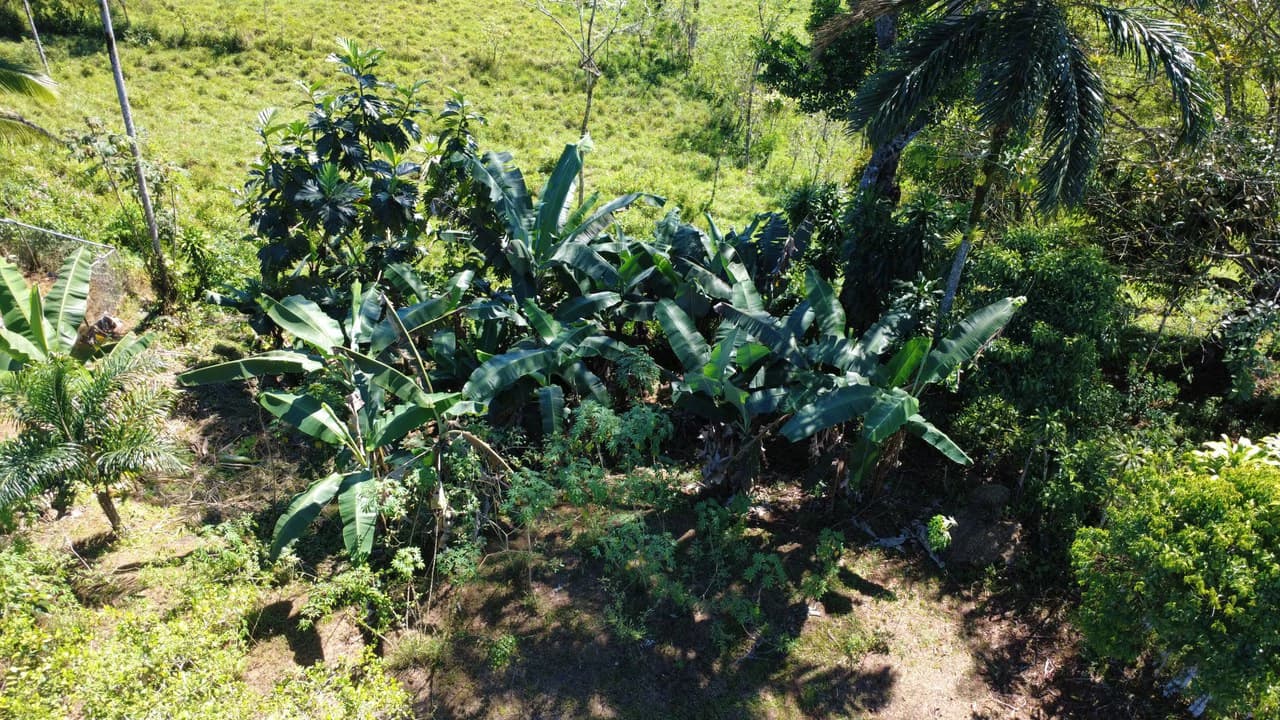 Countryside Home Construction Site For Sale in San Pedro - photo 3
