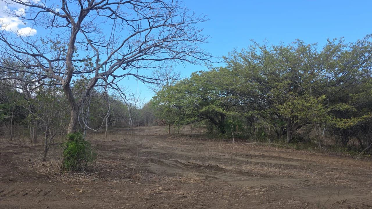 Huge Commercial Property Near Liberia Airport, Guanacaste, Costa Rica - photo 4
