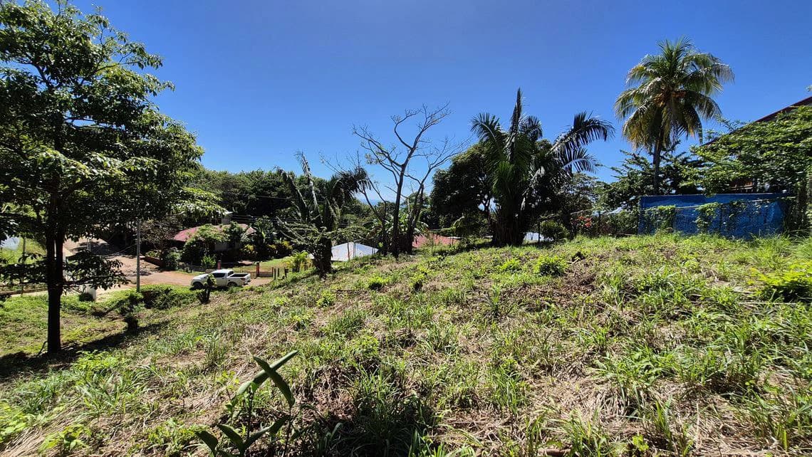 LOTE ALTO: Last Affordable 857 m² Lot in Peaceful Santo Domingo Village, Just 10 Minutes from Samara Beach - photo 4
