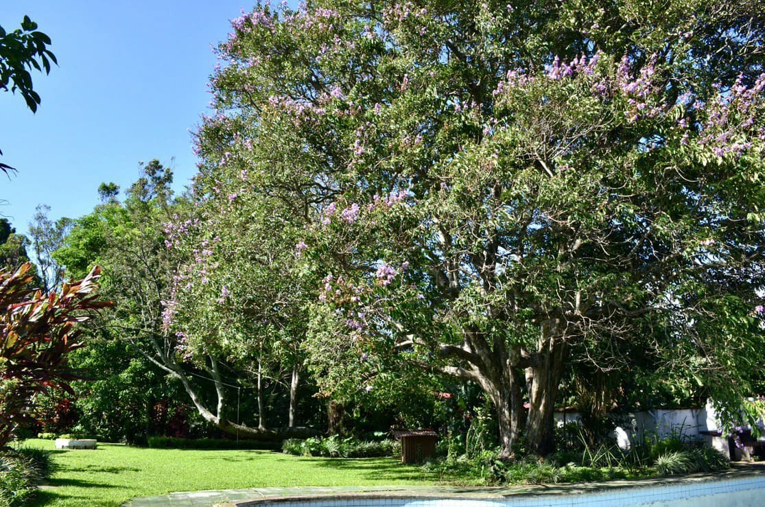 Commercial lot for sale in Santo Domingo, Heredia - photo 8