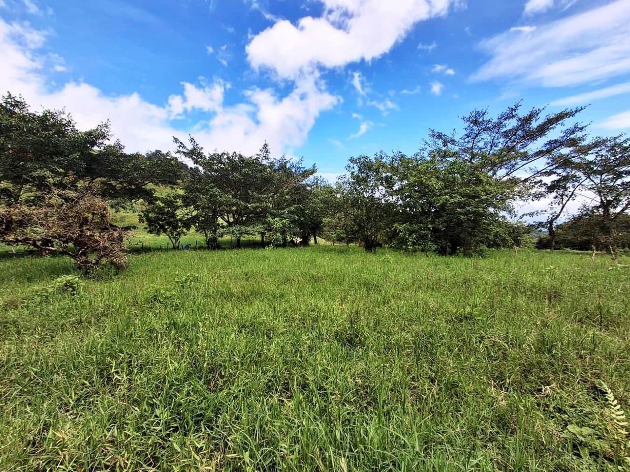 INVESTOR & DEVELOPER ALERT: High-Visibility Investment Property in the Heart of Tourist-Friendly Zarcero - photo 12
