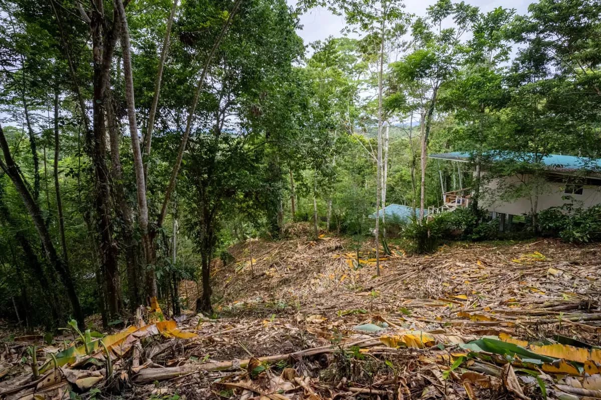 ID 1084: 5,500 sqm Lot with Mountain View in Iriria 1, Punta Uva - photo 3