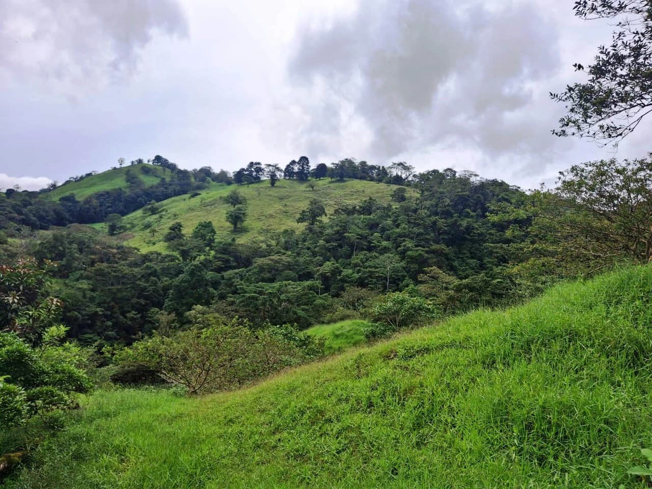 INVESTOR & DEVELOPER ALERT: High-Visibility Investment Property in the Heart of Tourist-Friendly Zarcero - photo 14