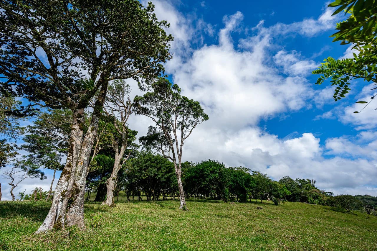 LA CABAÑA - 13+ ACRES & a TINY HOUSE & outstanding VIEWS - REDUCED PRICE - SELLER MOTIVATED - photo 50
