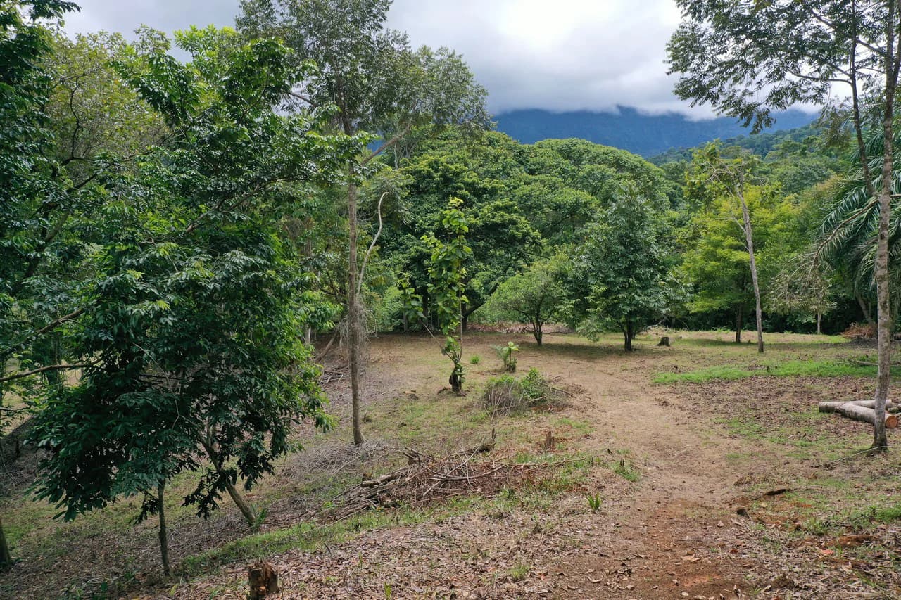 Diamante Waterfall View Land in Dominical 2.9 Acres - photo 6