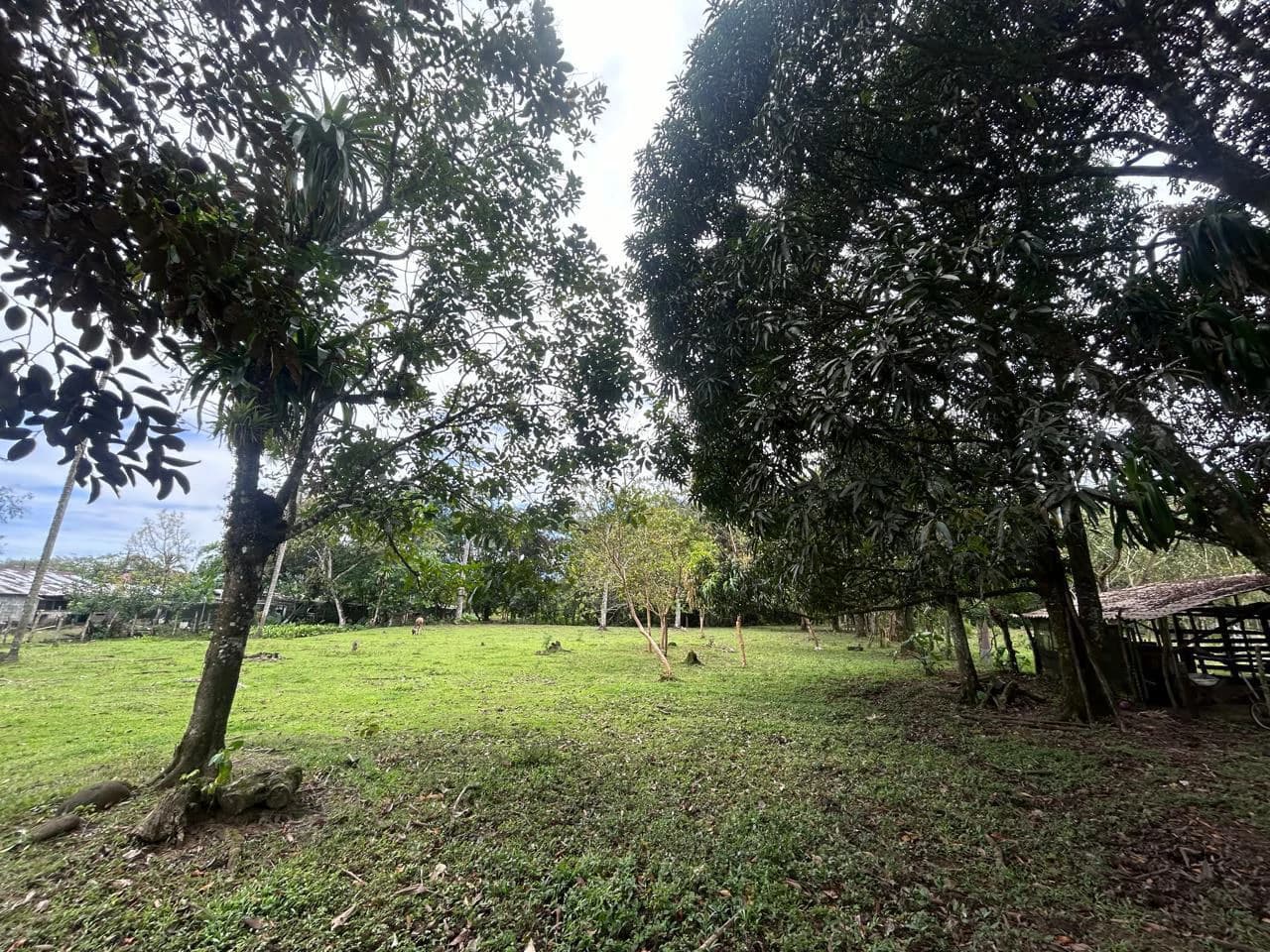 Land for Sale 4803 m2: Over 1 acre - photo 11