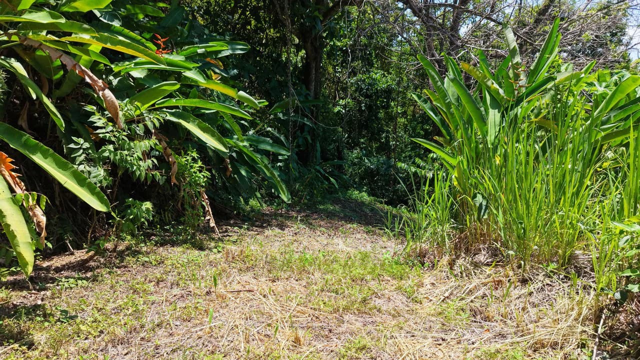 Near the Coast Home Construction Site For Sale in Ciudad Cortés - photo 15