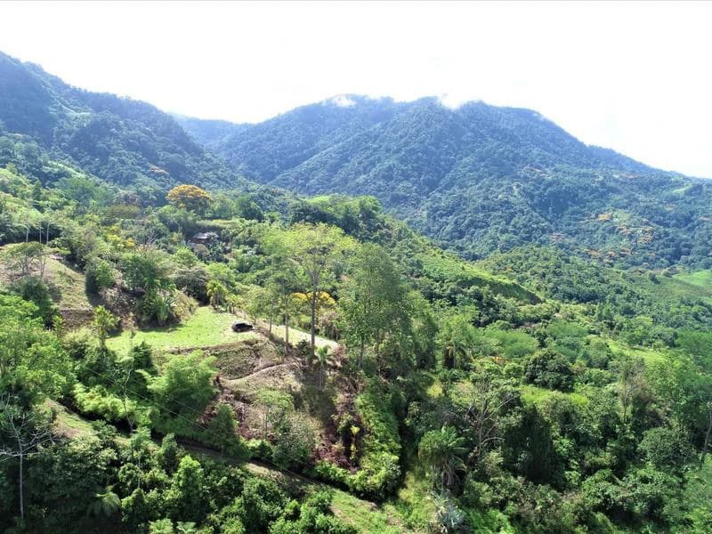Captivating 3.15-Acre Property: Huge Pricedrop! Firesale Oceanview Lot in Tres Rios - photo 4