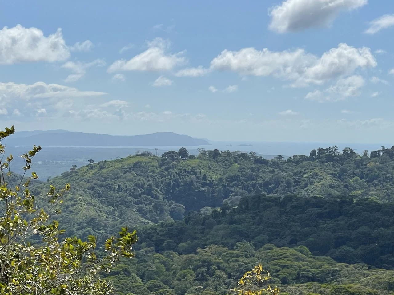 Sunset Ocean View Land with Cano Island Views: Home Construction Site For Sale in Ojochal - photo 9