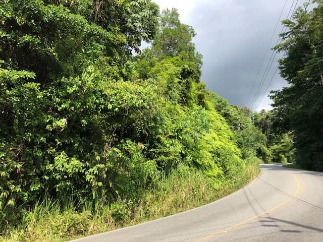 6.5 ACRES – Space To Grow, Build & Thrive, Close To The Beach & Commercial Potential Road Frontage!!!!!: Mountain and Countryside Development Parcel For Sale in Platanillo de Dominical - photo 17