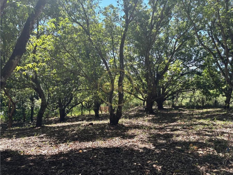 FOR SALE / Land in Coyolar, Orotina, Alajuela - photo 5