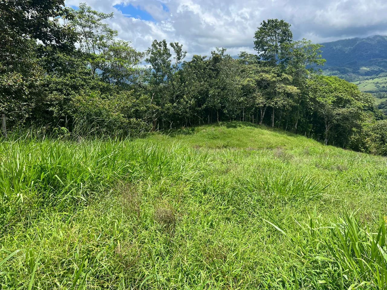 47 ACRES – Beautiful Mountain View Farm With Many Water Sources and Many Building Areas!!!! - photo 5