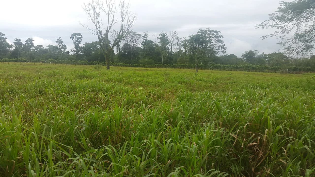 Countryside Development Parcel For Sale in Cariari - photo 6