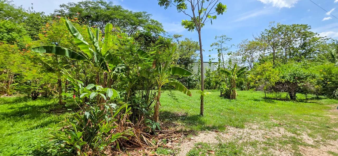 Casa Amaya: Charming House With Large Lot In Nosara - photo 22