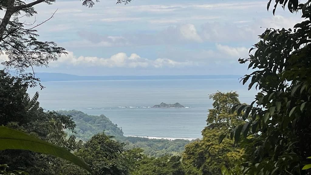 Eduardo Lee 17 Acres: Mountain Agricultural Land For Sale in Bejuco - photo 6