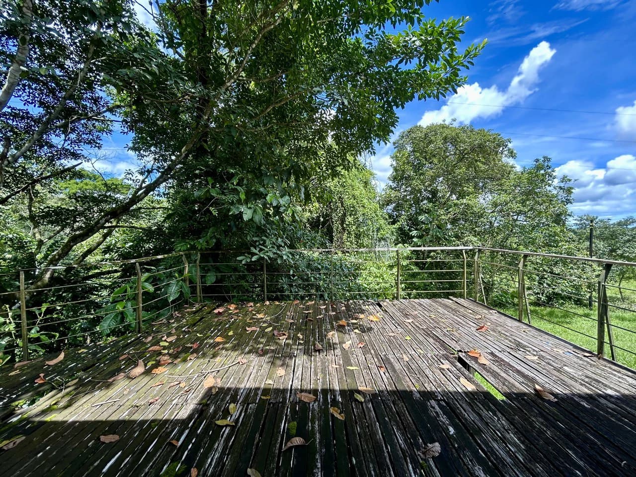Fixer-Upper Home with an studio Office in Palmar Norte on a 7.58 Acres Property - photo 51