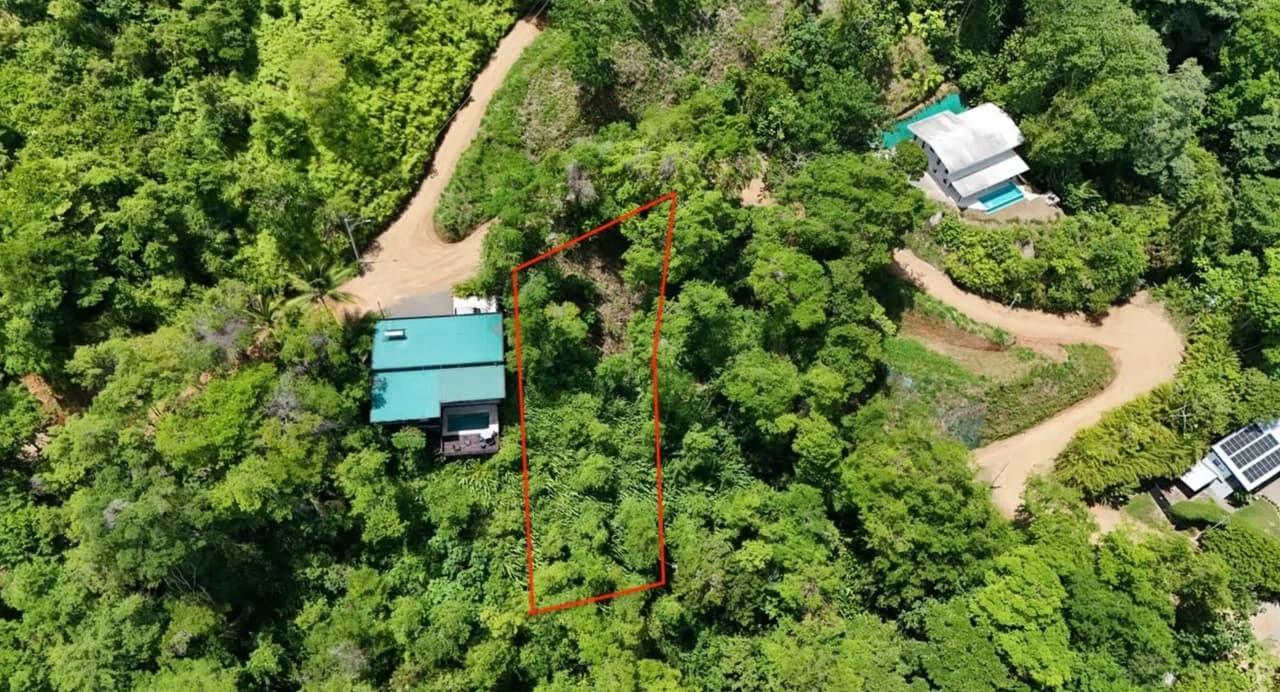 Exclusive and Unique Ocean Views lot in the Hills of Uvita! - photo 2
