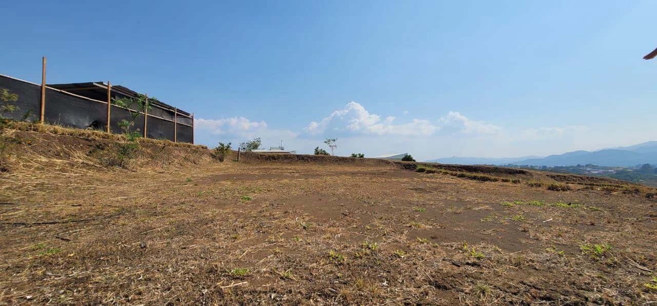 Lot for Sale in Montezuma de Grecia