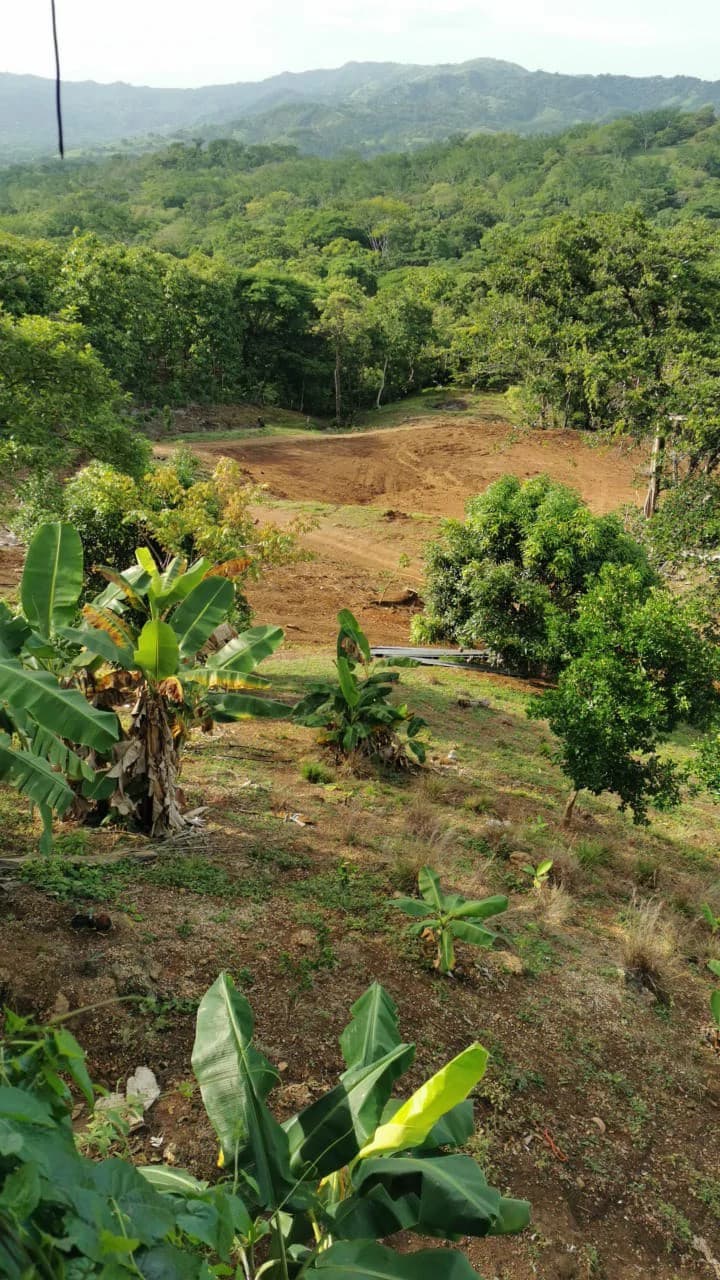 Agricultural Farm for Sale in the mountains of Hojancha, Beautiful 25-acre property with floating lake Apartment and Huge main home - photo 8