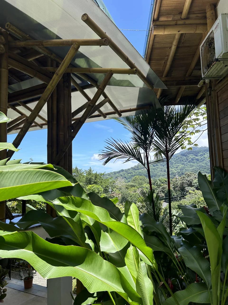 Cabinas Bambura: Cabinas Bambura: Successful Airbnb Business with Stunning Mountain & Jungle View - photo 9