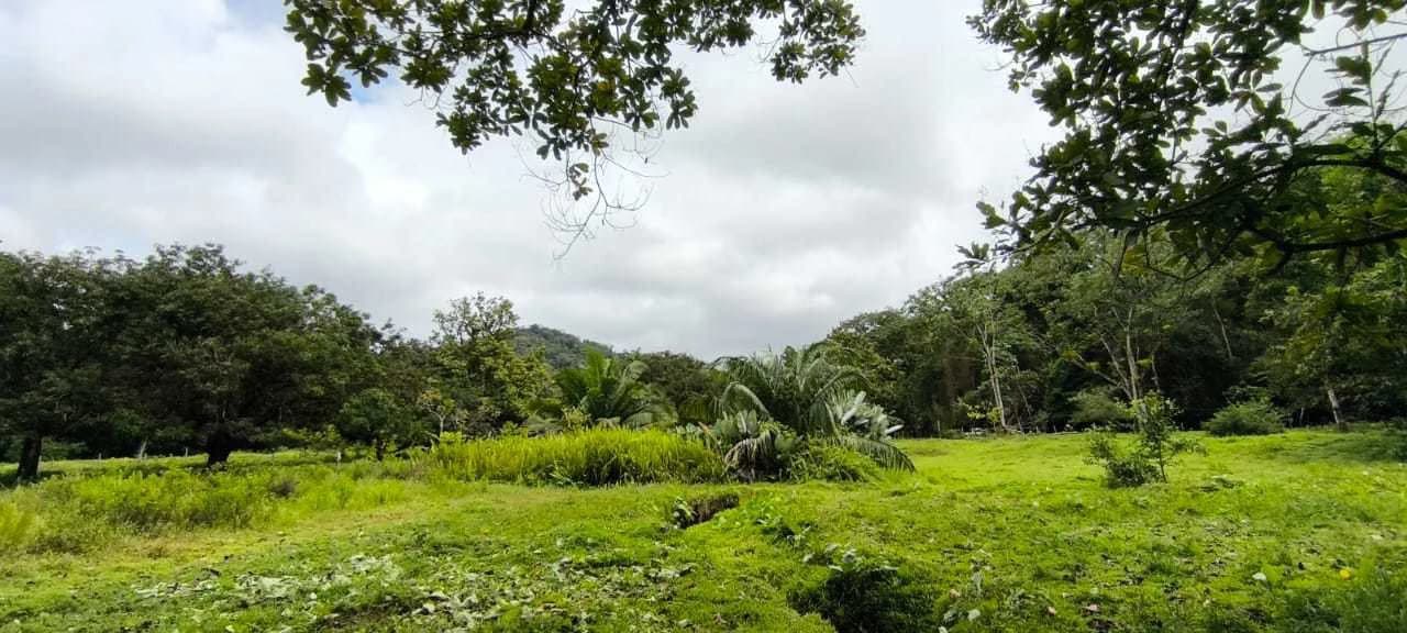 23 Acres of Paradise at Bahia Drake - photo 15
