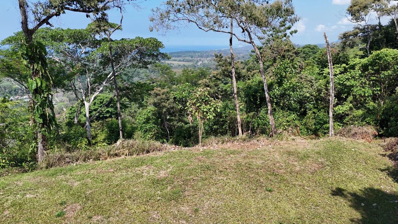 Exceptional Development Opportunity 71 acre Riverfront & Ocean View in Hatillo - photo 3