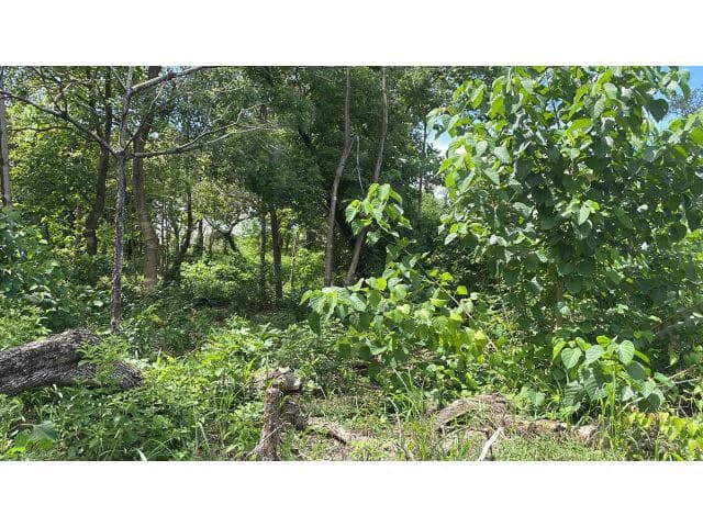 Building potential property for sale in Guadalupe, 5 minutes away from Liberia and 20 from the National Park of Rincon de la Vieja - photo 7