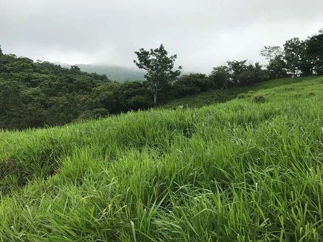 Ocean View Farm - photo 6