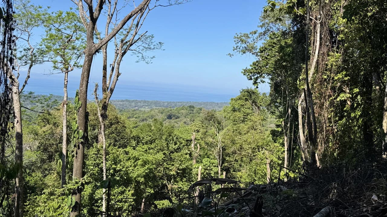 Unique Opportunity, Panoramic Ocean Views of the Whale's Tail Beach! - photo 6