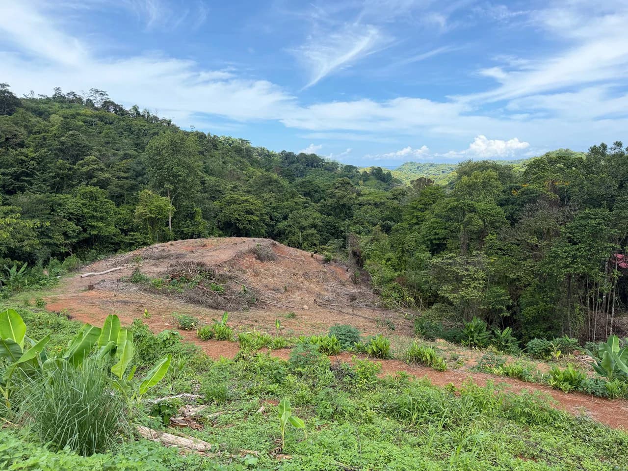 Near the Coast Home Construction Site For Sale in Pavon - photo 4