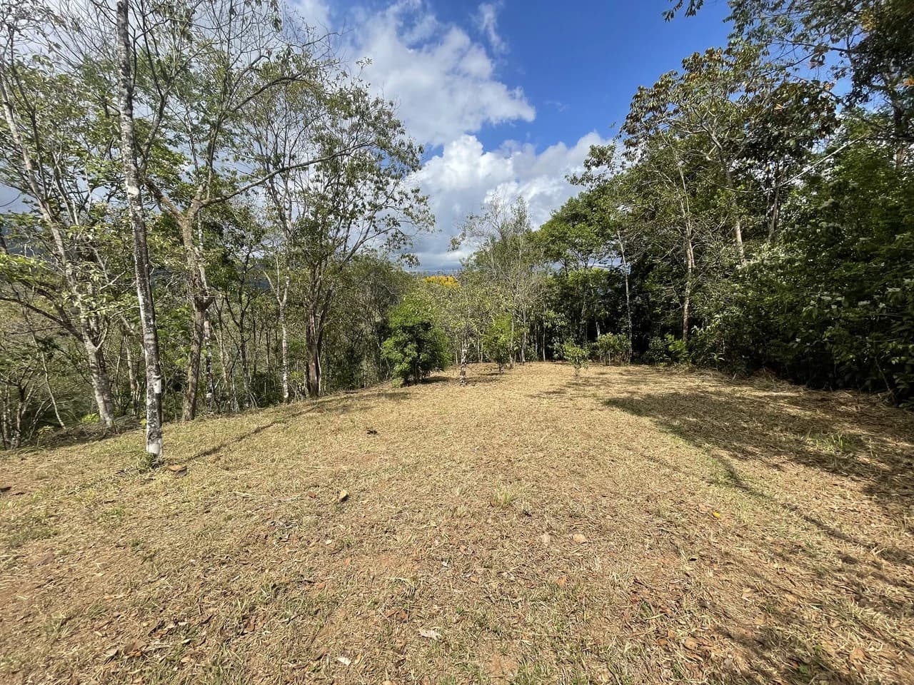 Elevated Two and a Half Acres with Cool Breeze in San Isidro del General - photo 17