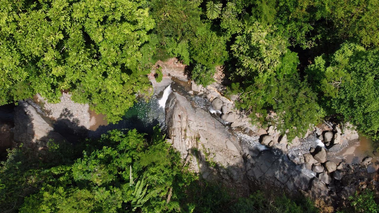 FINCA CERRO DEL TIGRE! OVER 20 ACRES OF PRIMARY FOREST AND WATERFALLS.: Mountain Agricultural Land For Sale in La Unión - photo 20