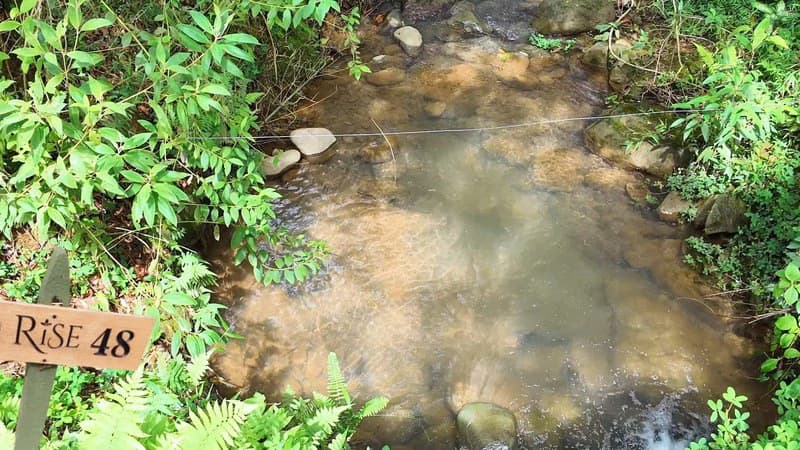 lote 48 RISE: BEAUTIFUL LOT FOR SALE IN THE HEART OF RISE COSTA RICA WITH CREEK (63,475 SQFT) - photo 9
