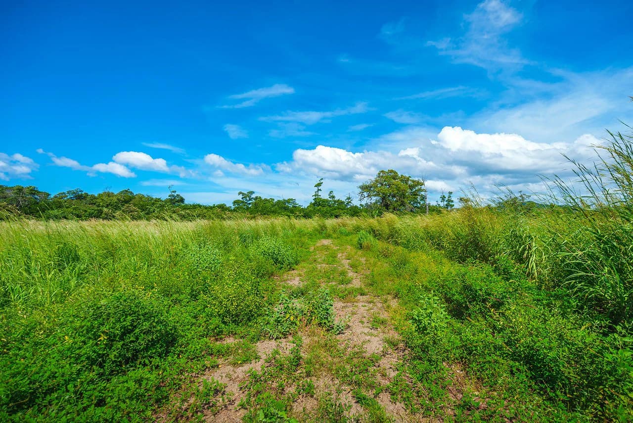 Playa Grande Beachfront Development Property - photo 19