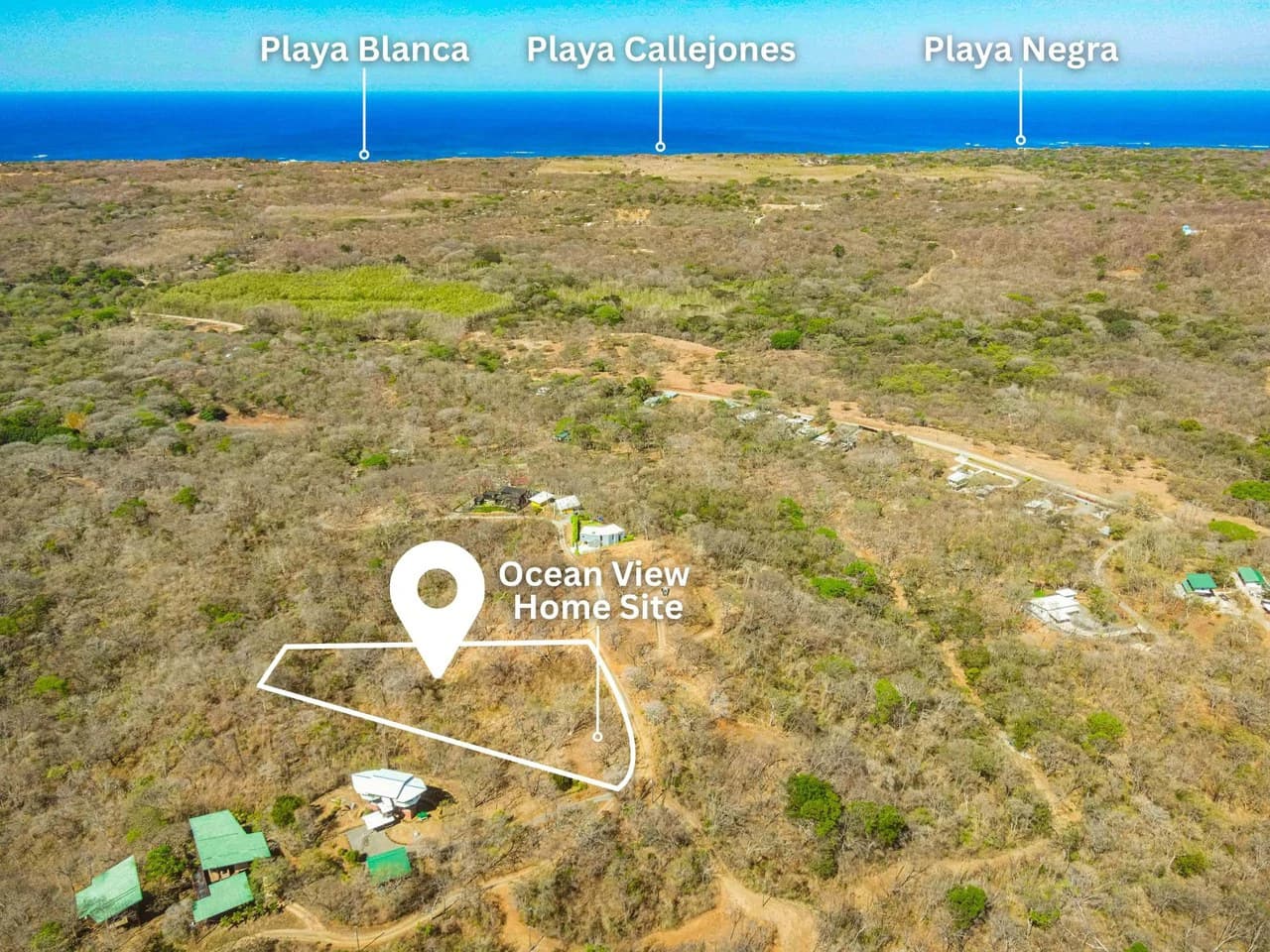 Pura Jungla #9: Ocean Views, Nature and Serenity in Playa Negra
