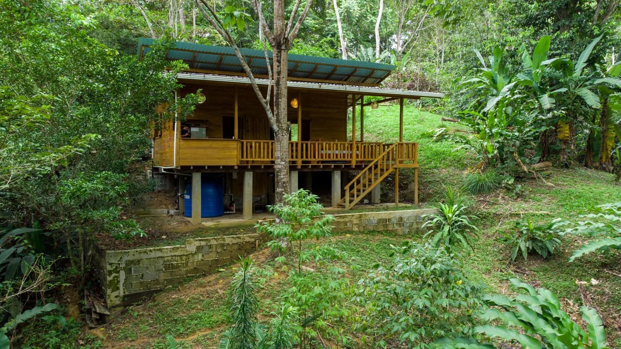 4 Bd/3 Ba - Two Caribbean Homes w/ Pool, on 5000m²: Dual Home Jungle Property in Punta Uva - photo 24
