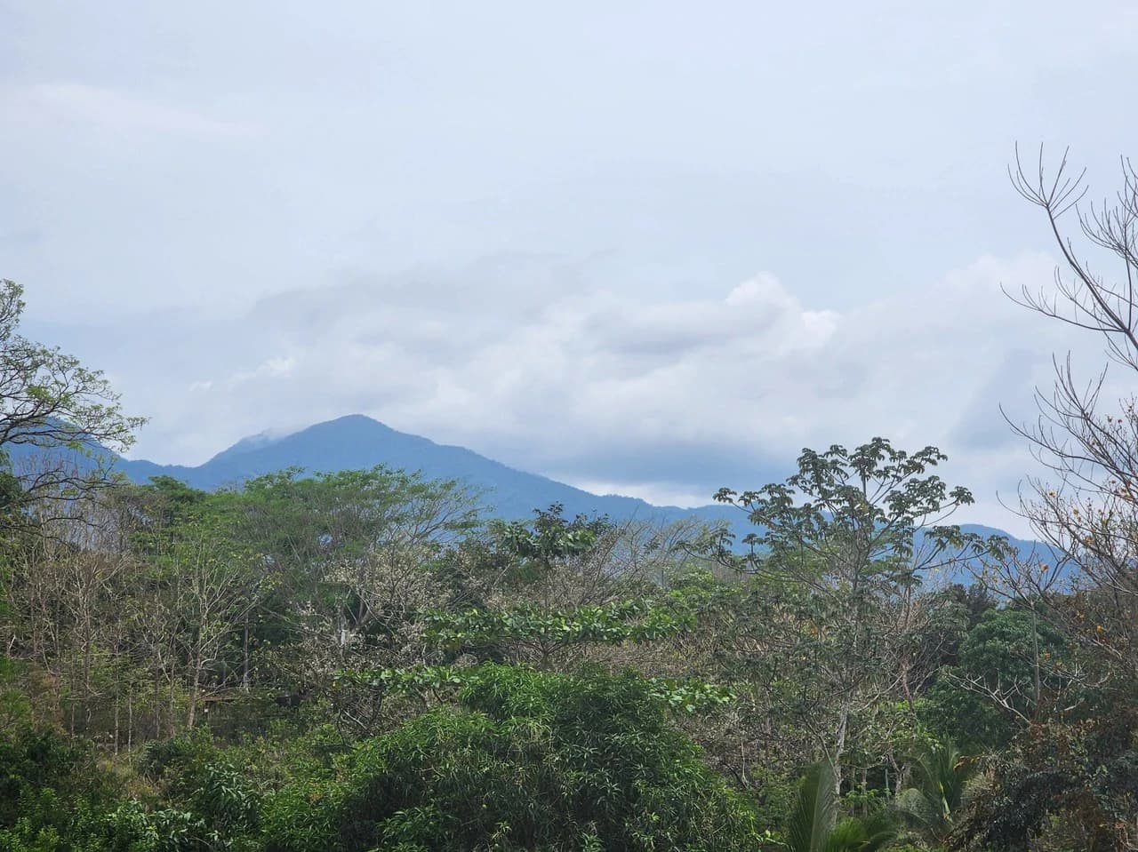 Countryside and Mountain Home Construction Site For Sale in San Juan de Mata