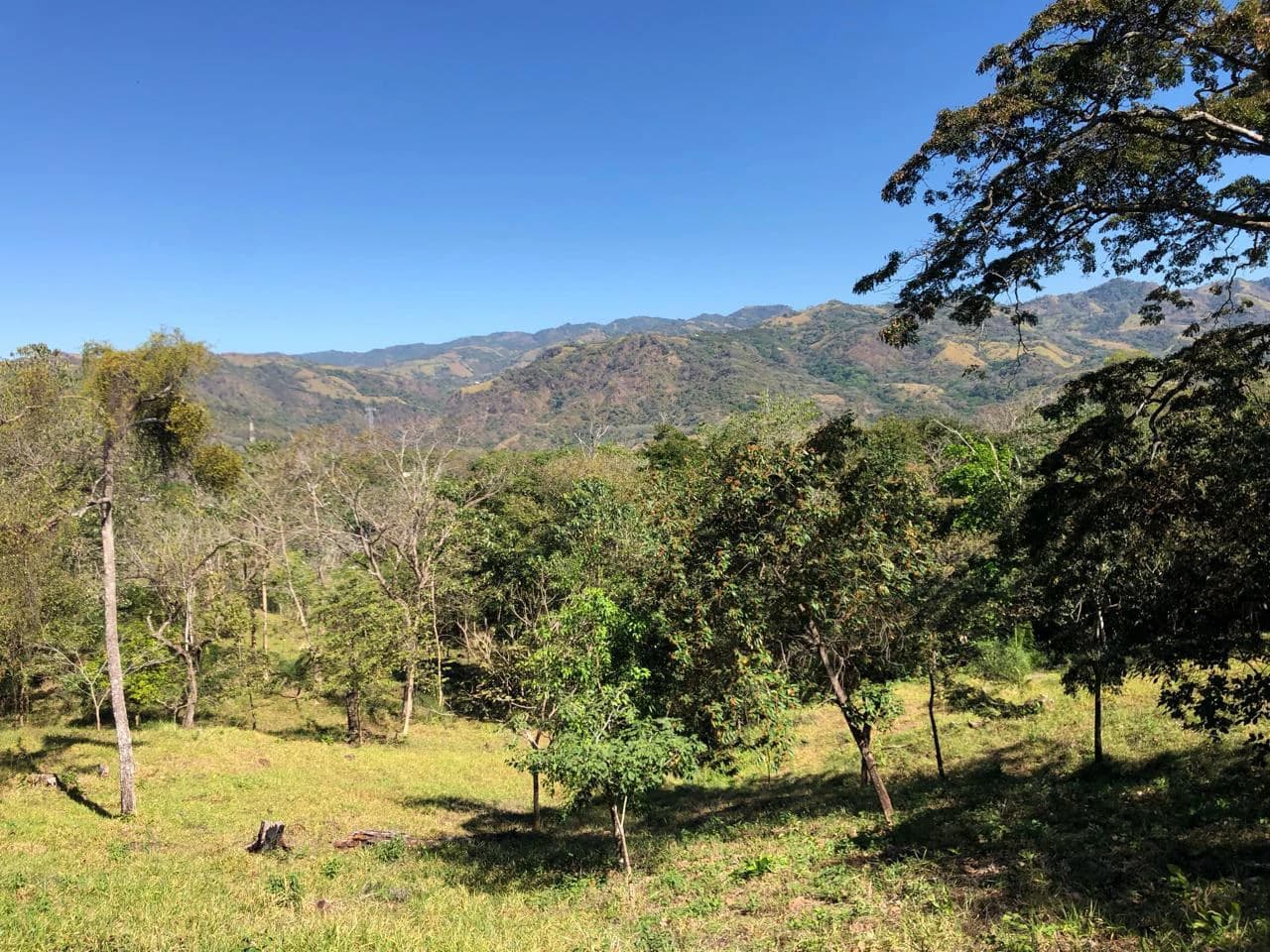 Peace, Privacy, Nature!: Finca in Eco friendly natural area - photo 9
