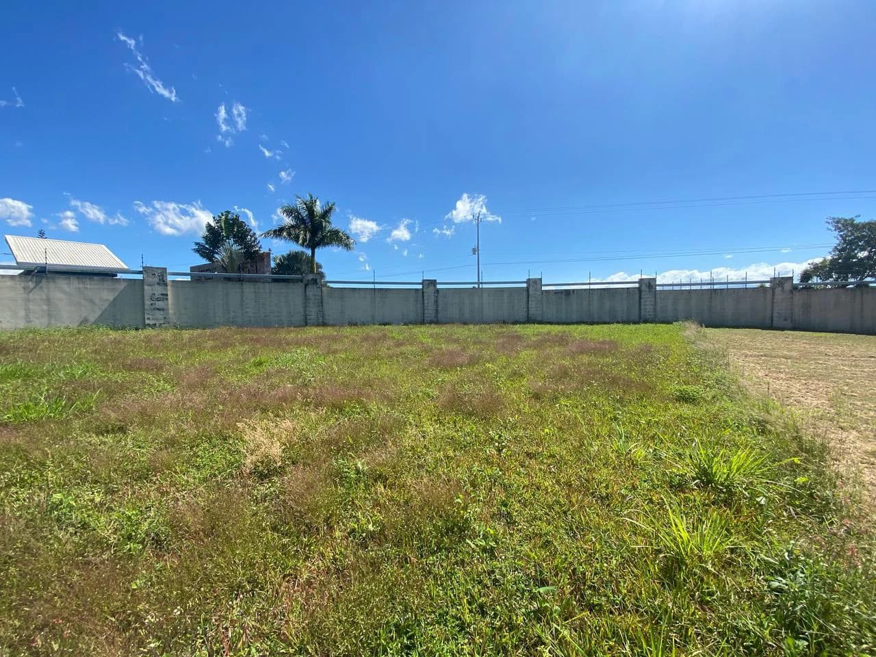 LARGE LOT FOR SALE, ALAJUELA, GREECE - photo 4