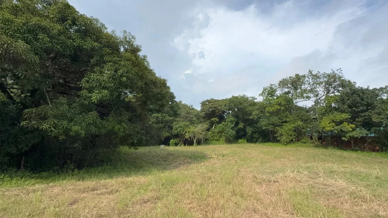 6000m2 Land Near Montezuma and Santa Teresa: ixed use, commercial and residential - photo 3