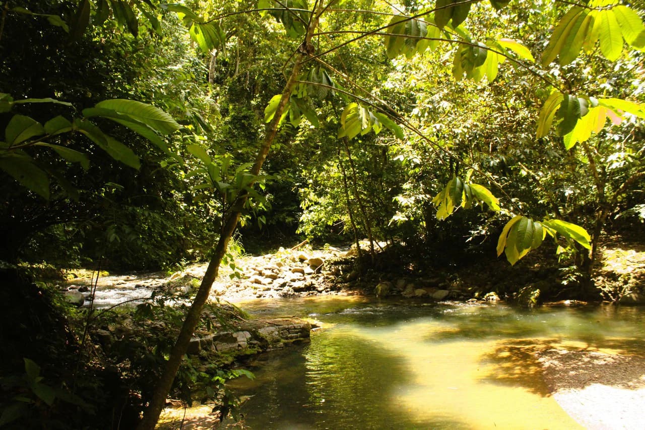 Wildlife Reserve Farm close to Ojochal - photo 18