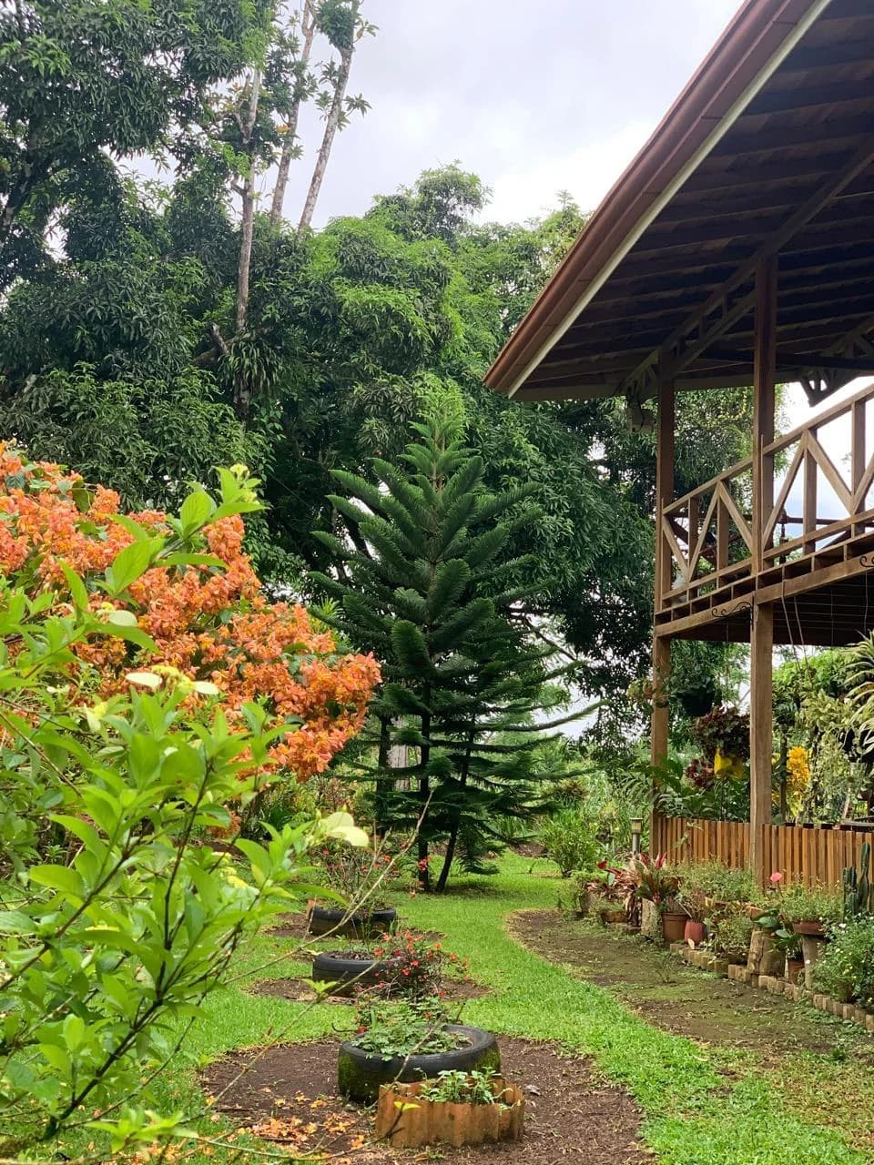 Charming Country Farmhouse with Profitable Ornamental Plant Farm: Great location near La Fortuna and Ciudad Quesada - photo 5