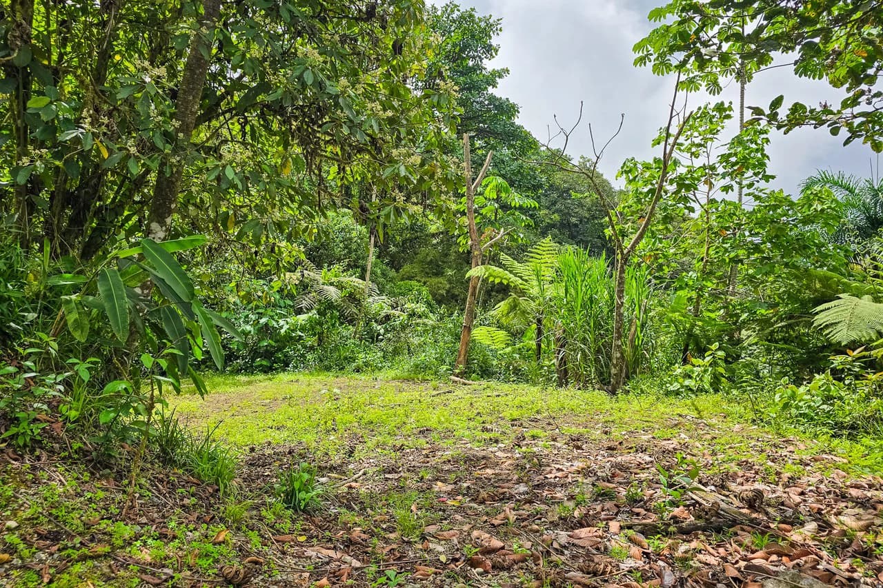Near the Coast Home Construction Site For Sale in Ciudad Cortés - photo 14