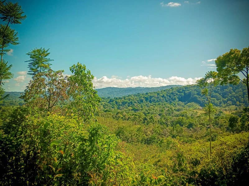 Ocean View & Primary forest 55-ha Rincon de Osa - photo 18
