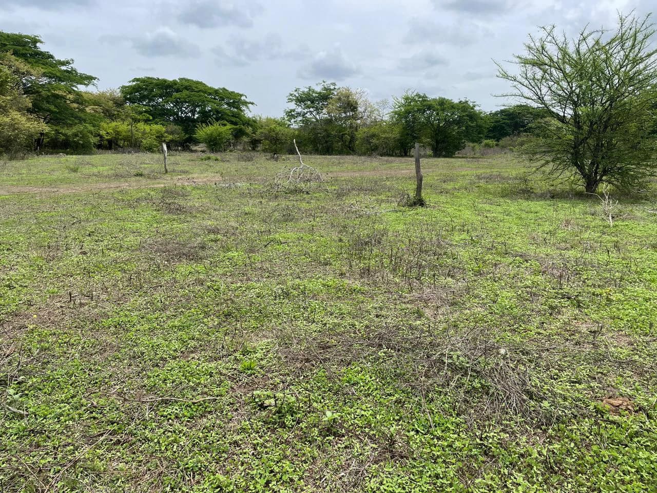 BEST PRICE! For sale comercial Property for warehouses or free zone, 1 km from Liberia Airport, Guanacaste, CR - photo 11