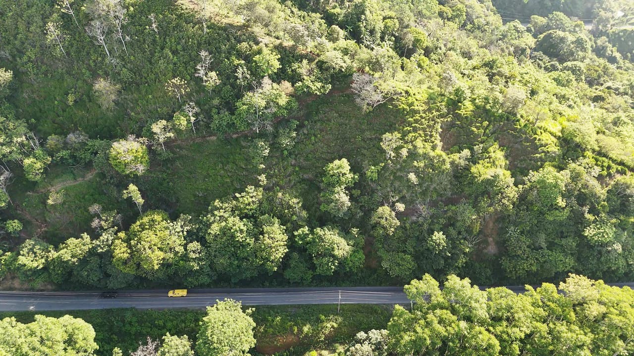 Mountain Agricultural Land For Sale in San Isidro del General - photo 2