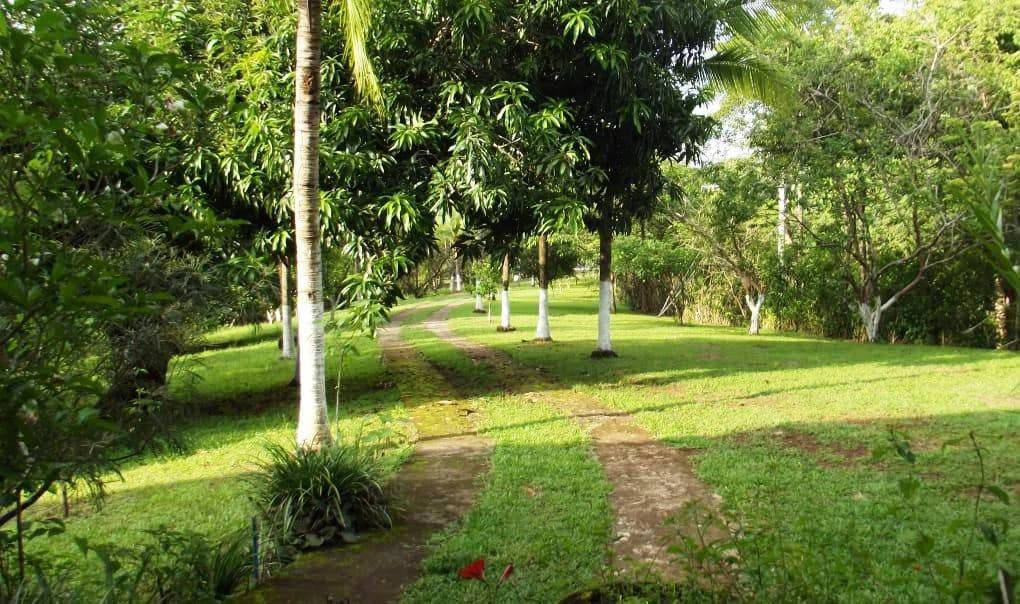 Finca Wellness: Live the Pura Vida Dream – Nature, Privacy & Pacific Beaches - photo 1