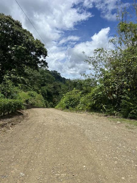 Panoramic 180 Degree Ocean View Lot Ready To Build Close To Ojochal - photo 16