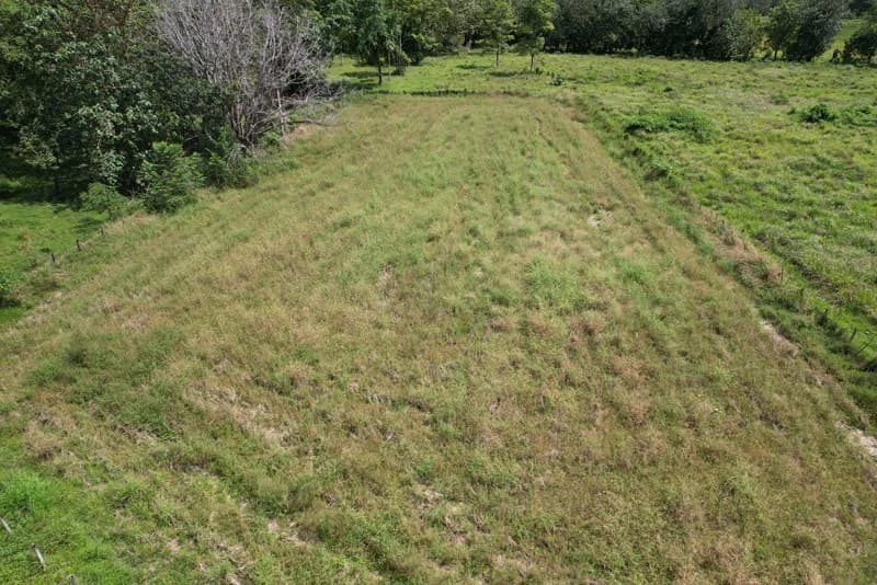 Land For Sale with Excellent Location in La Amapola, Puerto Jimenez - photo 7