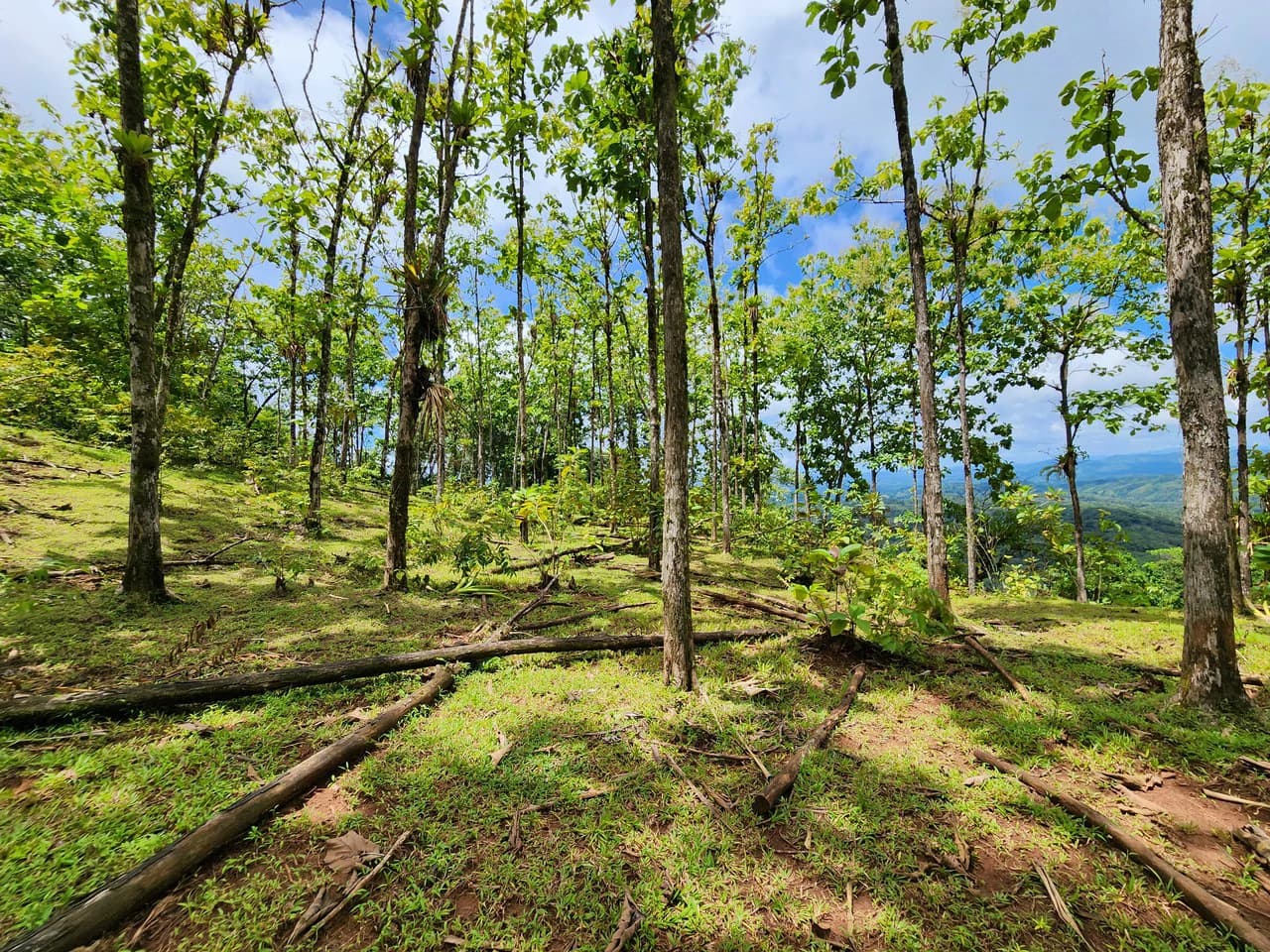 PRIME PARRITA FARM FOR SALE - photo 36